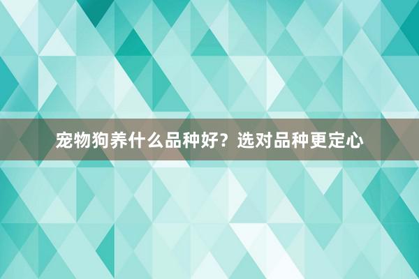 宠物狗养什么品种好？选对品种更定心