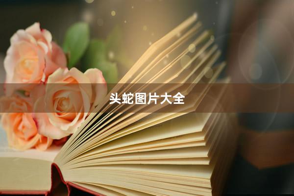 头蛇图片大全