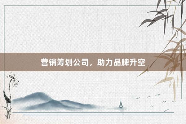 营销筹划公司，助力品牌升空