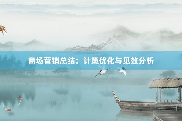 商场营销总结：计策优化与见效分析