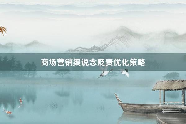商场营销渠说念贬责优化策略